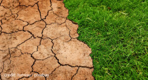 วิธีการแก้ปัญหาดินเป็นกรด acid soil
