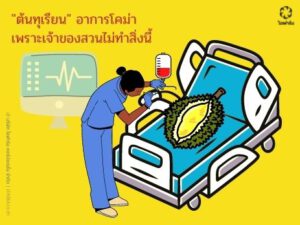 รากเน่าโคนเน่าในต้นทุเรียน