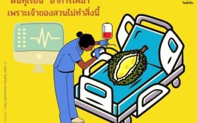รากเน่าโคนเน่าในต้นทุเรียน