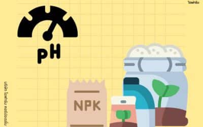ค่า pH ปุ๋ย