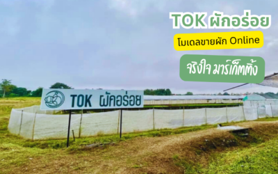 Tok ผักรอ่ย เชียงใหม่
