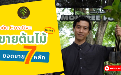 ธุรกิจขายต้นไม้เศรษฐกิจ มนทรี สวนป่า