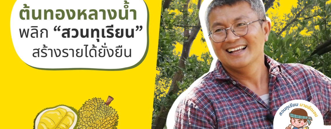 การปลูกต้นทองหลางน้ำแซมสวนทุเรียน