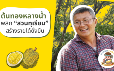 การปลูกต้นทองหลางน้ำแซมสวนทุเรียน