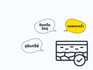 ข้อดีของต้นทองหลางน้ำ ก้านแดงมีหนาม