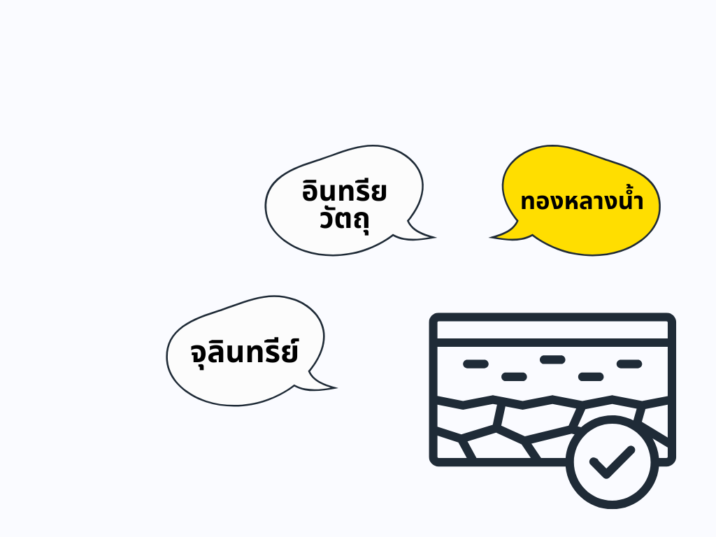 ข้อดีของต้นทองหลางน้ำ ก้านแดงมีหนาม