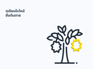 ดินเค็ม ทุเรียนยืนต้นตาย