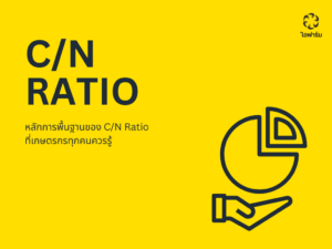 ค่า C/N Ratio