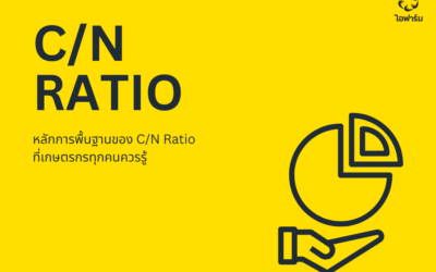 ค่า C/N Ratio