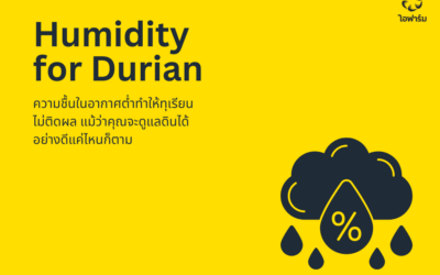 ความชื้นในอากาศสวนทุเรียน