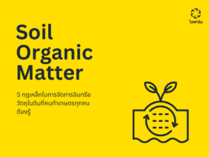 อินทรียวัตถุในดิน Soil Organic Matter