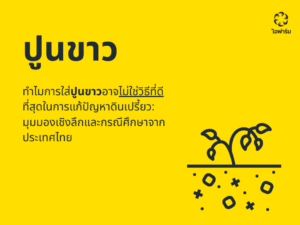 แนวทางการแก้ปัญหาดินเปรี้ยวแบบยั่งยืน