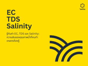 เปรียบเทียบค่า EC, TDS และค่าความเค็มของดินและน้ำ