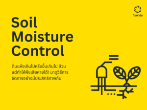การควบคุมความชื้นดิน (Soil Moisture)