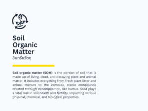อินทรียวัตถในดิน หรือ soil organic matter SOM