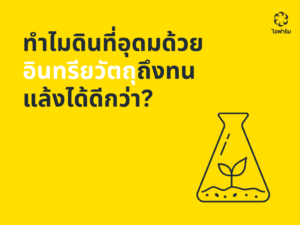 อินทรียวัตถุในดิน