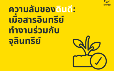 ประโยชฯืของอินทรียวัตถุ