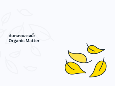 การปรับปรุงดิน soil organic matter som ด้วยต้นทองหลางน้ำ ก้านแดงมีหนาม