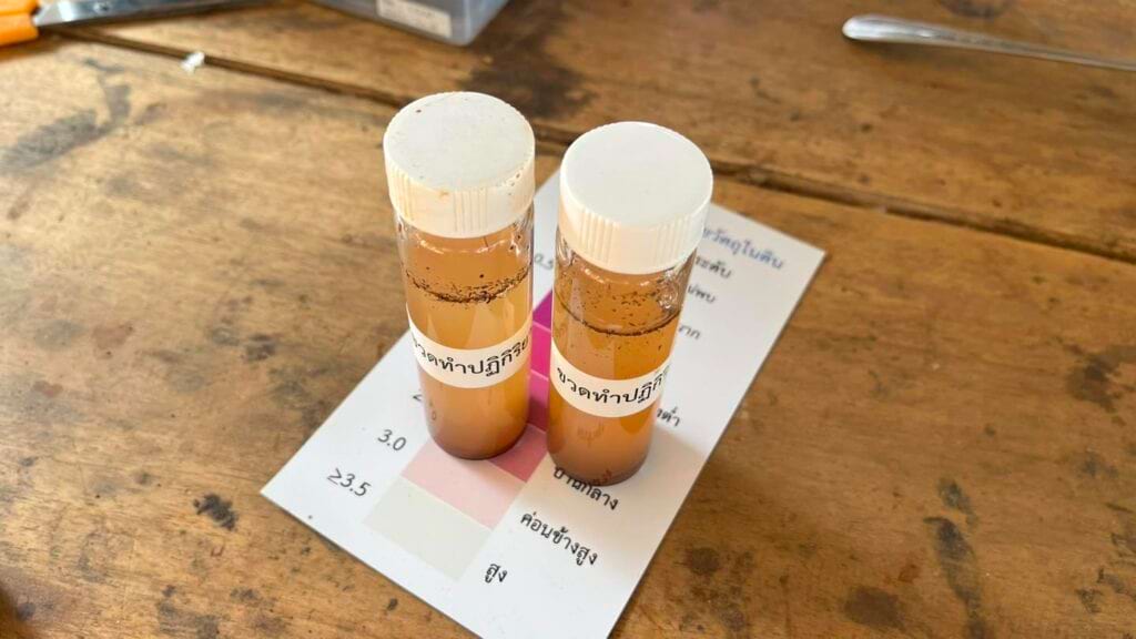 การตรวจอินทรียวัตถุ