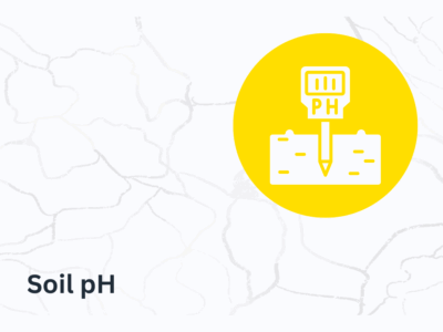 ผลกระทบของค่า pH ดินต่อธาตุอาหาร