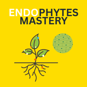 คอร์ส Endophyte Mastery อ. วิโรจน์ วิโรจน์พันธ์